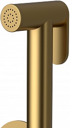 Raiber Гигиенический душ Graceful RPG-009 со встраиваемым смесителем золото матовое – фотография-3