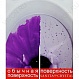 Sanita Luxe Унитаз-компакт Best Color Black 435818 с микролифтом – картинка-17