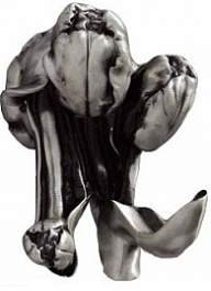 Art&Max Крючок Tulip AM-0822-T – фотография-1