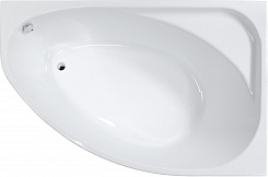 Vagnerplast Акриловая ванна Hapi 170x110 R – фотография-1