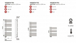 Terminus Полотенцесушитель Астра П14 – фотография-2