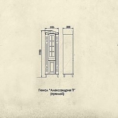 Атолл Шкаф-пенал "Александрия" черный – фотография-5